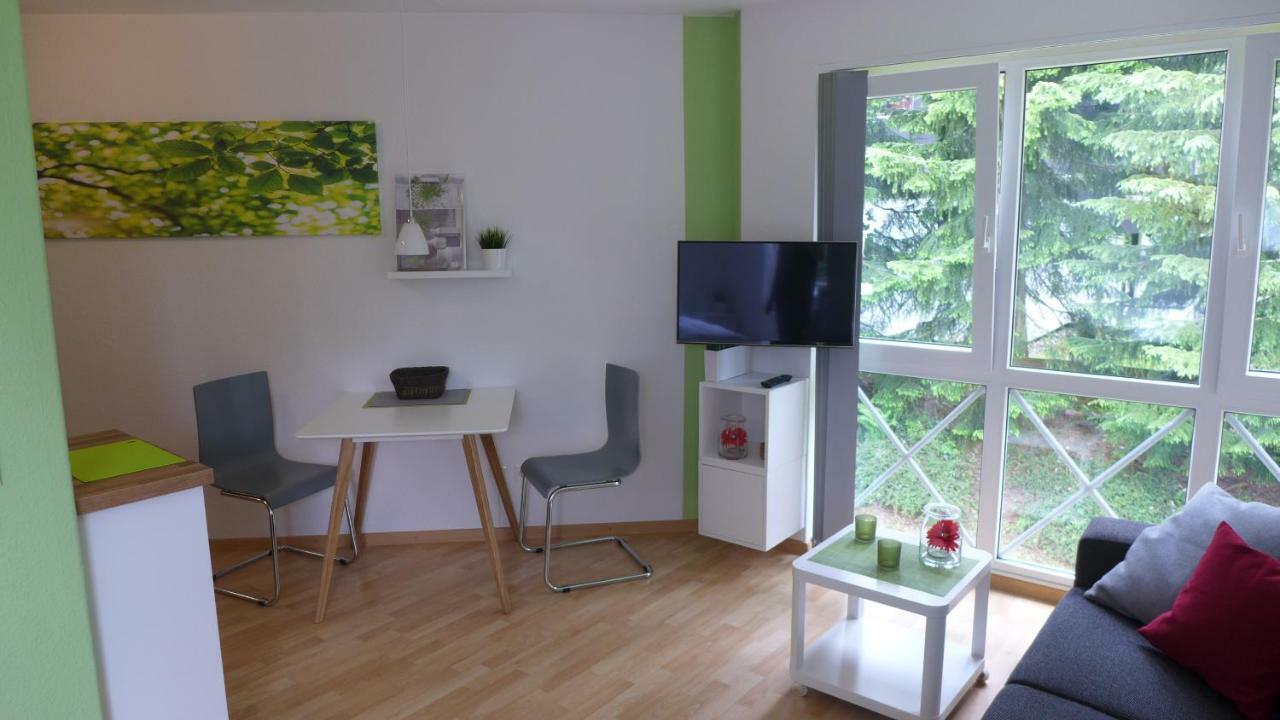 Appartement Schultz - Gruene Aue Braunlage Exterior photo