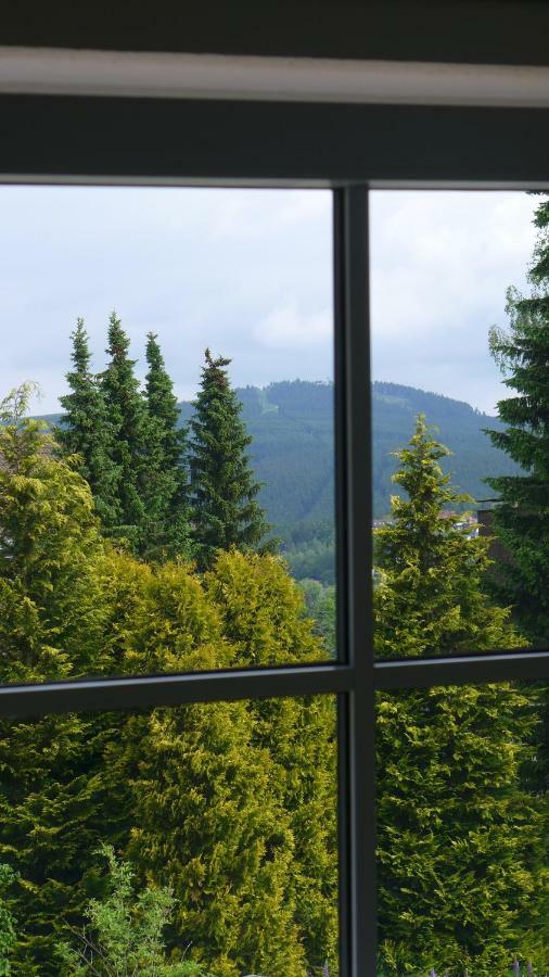 Appartement Schultz - Gruene Aue Braunlage Exterior photo